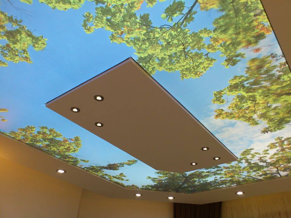 3D Ceilings