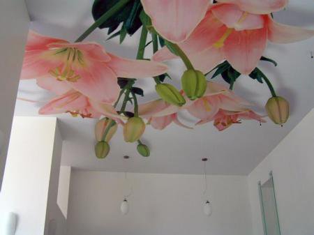 Stretched Ceiling Dubai, Stretch Ceilings in Dubai-UAE , Barrisol Ceiling Dubai, Stretch ceiling , Stretch ceiling PVC