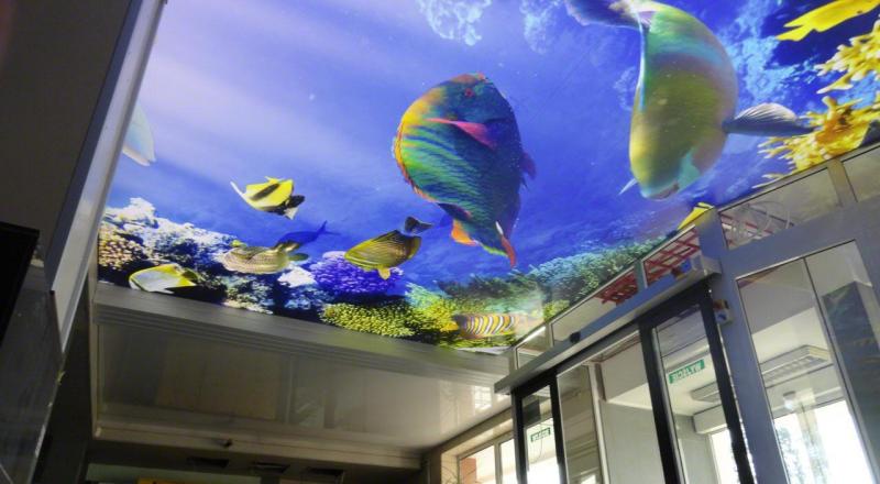 3D Ceilings 3D Ceilings